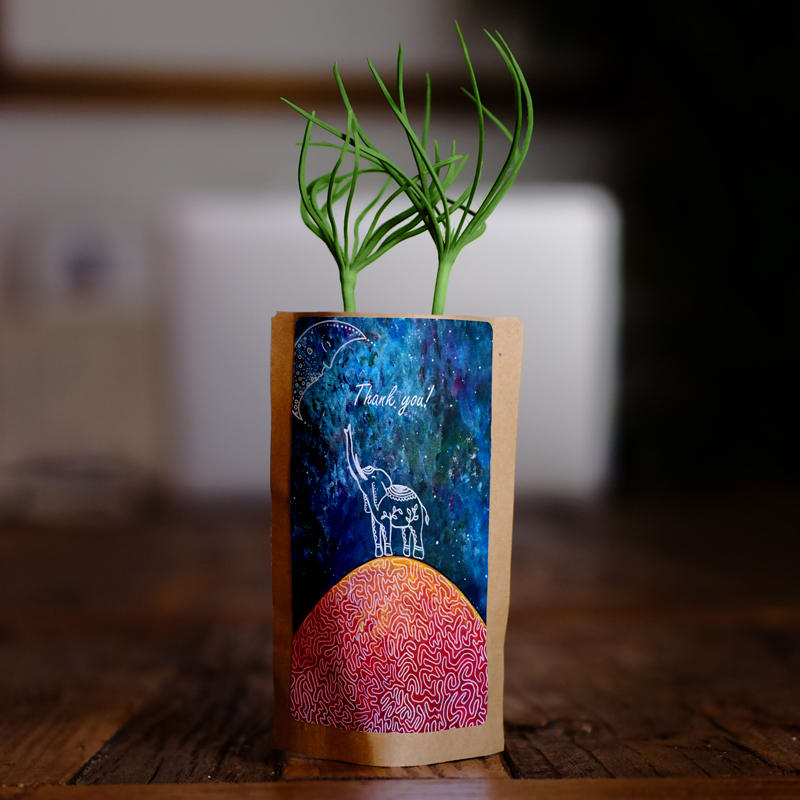 Thank-You Tree-Growing Gift